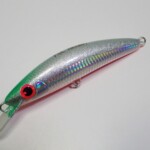 ソルトルアー ソルトルアー トラウト ルアー TROUT ZX | PRODUCTS | trout nories
